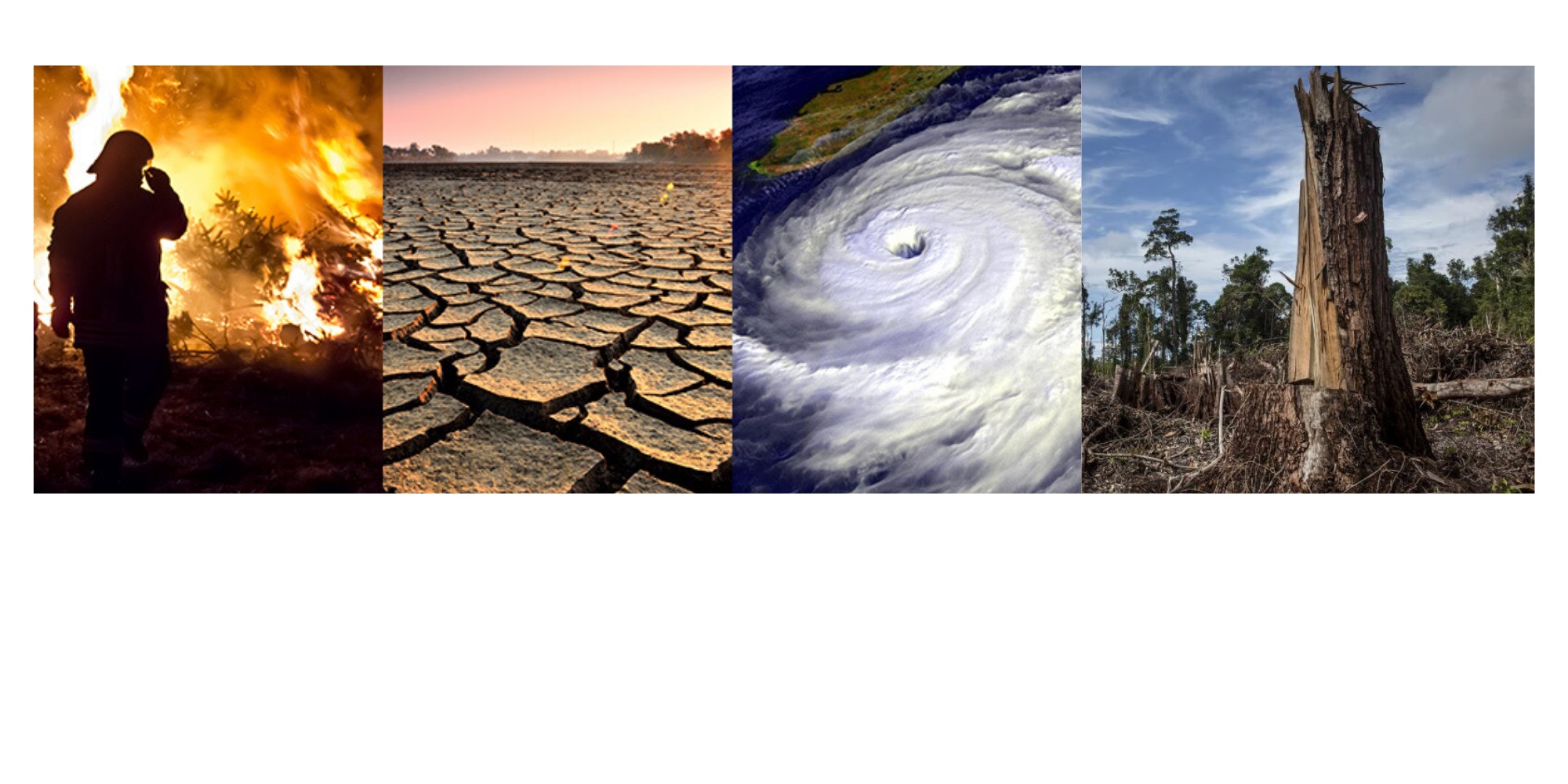 climatic-condition-changes-affect-environmental-conservation-apzem